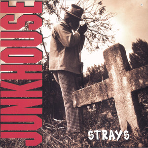 Strays cover