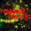Natural Mystic cover