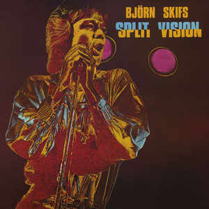 Split Vision album