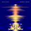 Harmonic Mantra Albumcover