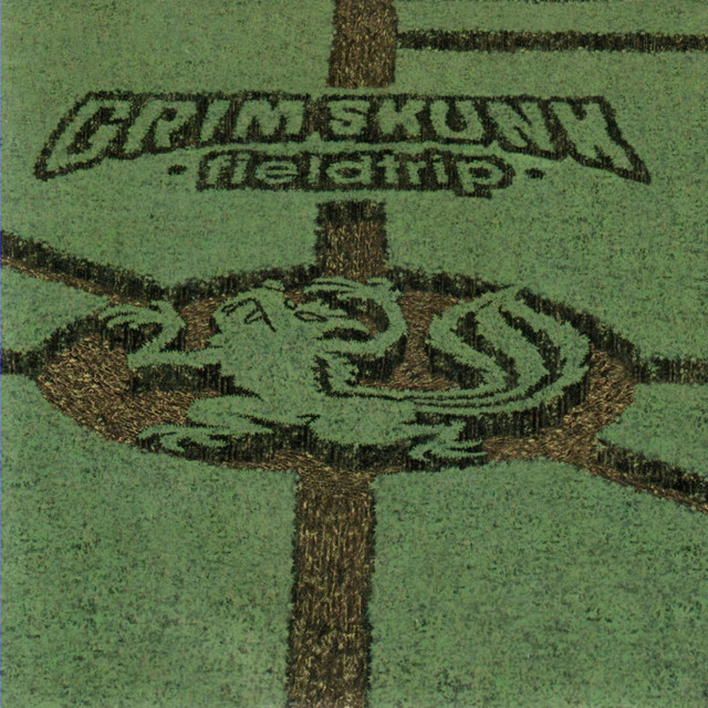 Fieldtrip cover