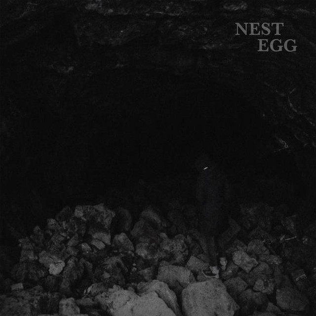 Nest Egg photo