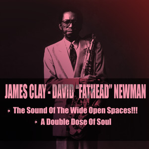 The Sound Of The Wide Open Spaces!!! / A Double Dose Of Soul cover