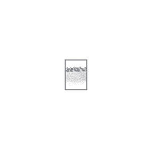 Oceanic Remixes / Reinterpretations album