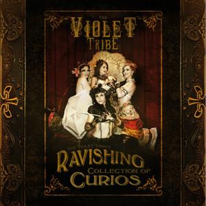 The Steam Song cover