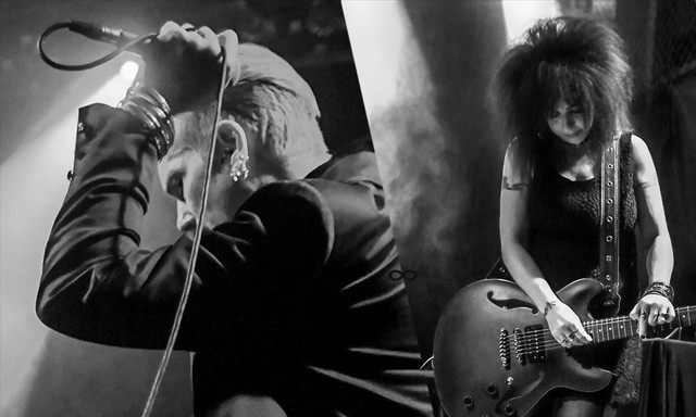 The Bellwether Syndicate Photo