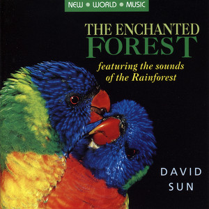 The Enchanted Forest Albumcover