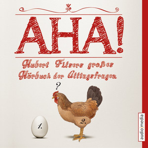 Aha! Hubert Filsers großes Hörbuch der Alltagsfragen