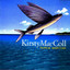 MacColl, Kirsty - Designer life
