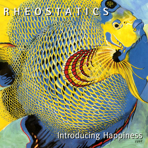 Introducing Happiness cover