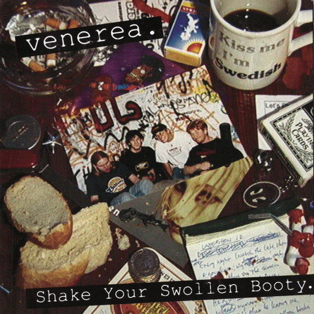 Shake Your Swollen Booty cover