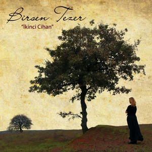 İkinci Cihan cover