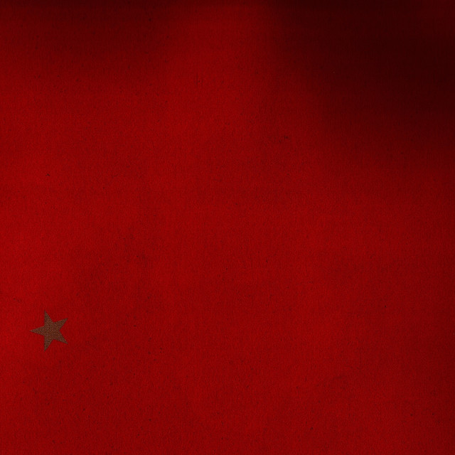 Red Ants Photo