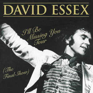 I'll Be Missing You Tour (The Final Show) album