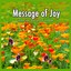 Message of Joy (Impressions of a Summer Meadow) Albumcover