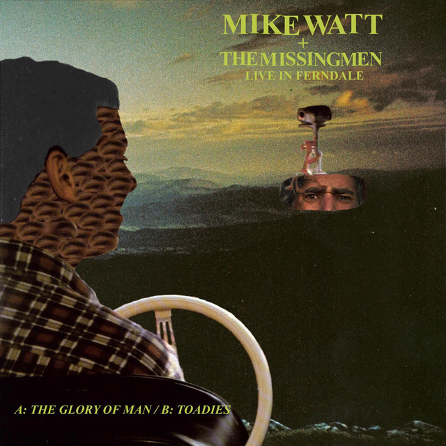 Live In Ferndale cover