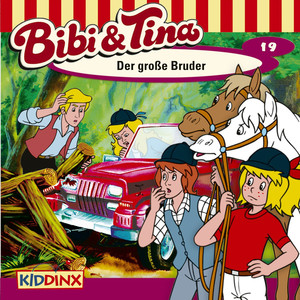 Folge 19: Der große Bruder Audiobook