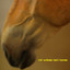 Acres Albumcover