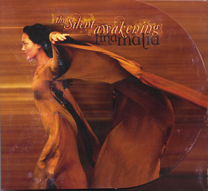 The Silent Awakening cover