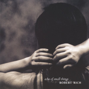 Echo of Small Things cover