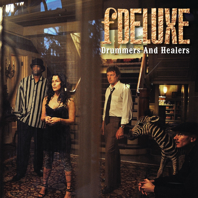 Drummers And Healers cover