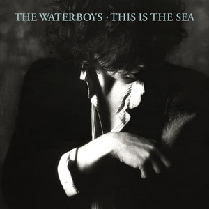 This Is the Sea album