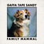 Gaffa Tape Sandy - Kill The Chord