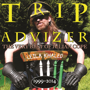 Trip Advizer (The Very Best Of Julian Cope 1999-2014) album