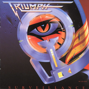 Surveillance cover
