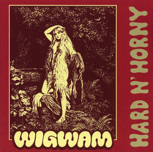 Hard n' Horny cover