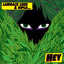 Hey cover