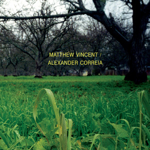 Matthew Vincent