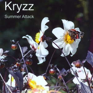 Summer Attack Albumcover