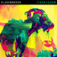 'Capricorn' - Elderbrook