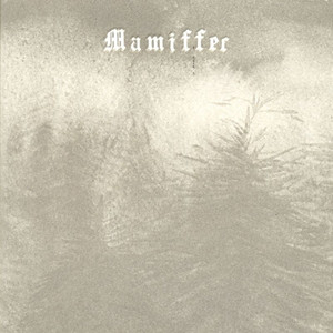 Hirror Enniffer cover