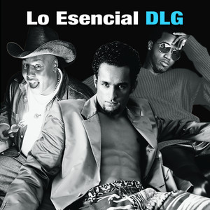 D.L.G. poster