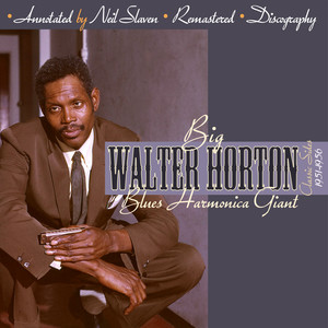 Blues Harmonica Giant album
