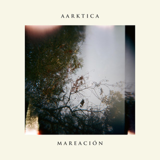 Aarktica Photo