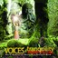 Voices of Tranquility Albumcover