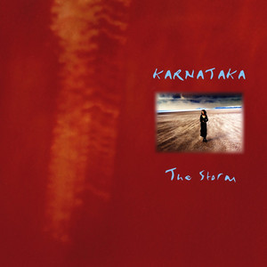 The Storm cover