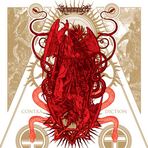 Contradiction cover