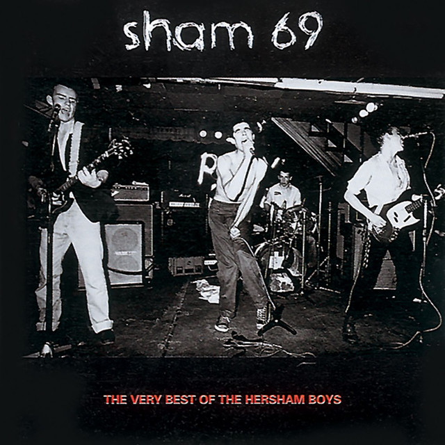 The Very Best Of The Hersham Boys cover