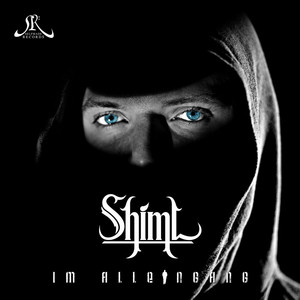 Im Alleingang cover