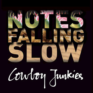 Notes Falling Slow cover