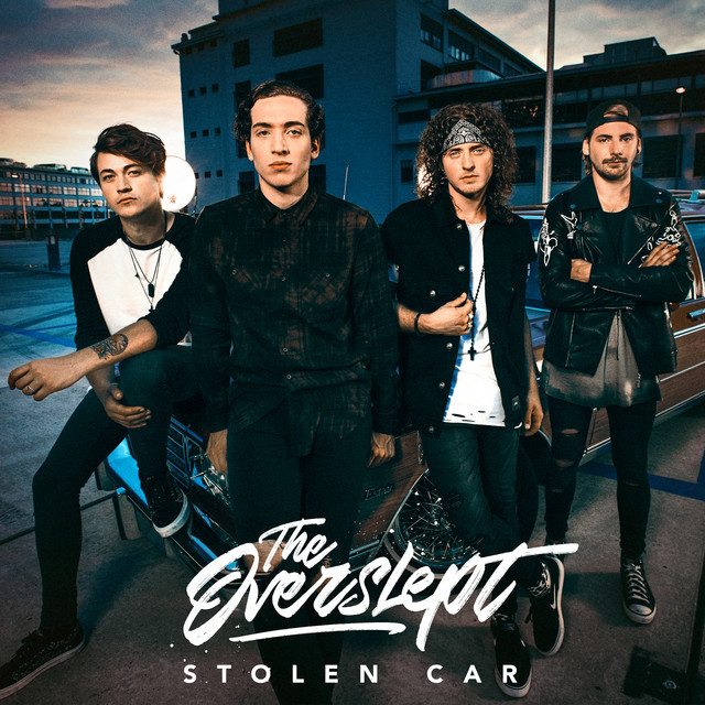 Stolen Car cover