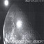 Beyond The Moon Albumcover