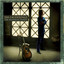 The Bluegrass Diaries cover