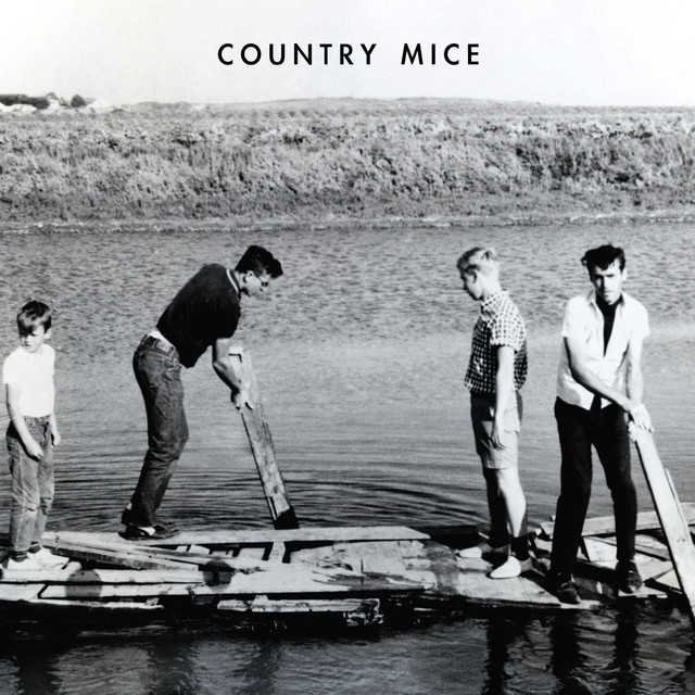 Country Mice Photo