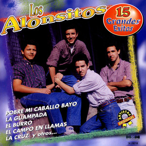 15 Grandes Éxitos Albumcover