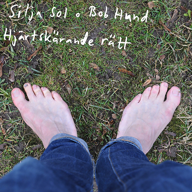 Hjerteskjærende Rett cover